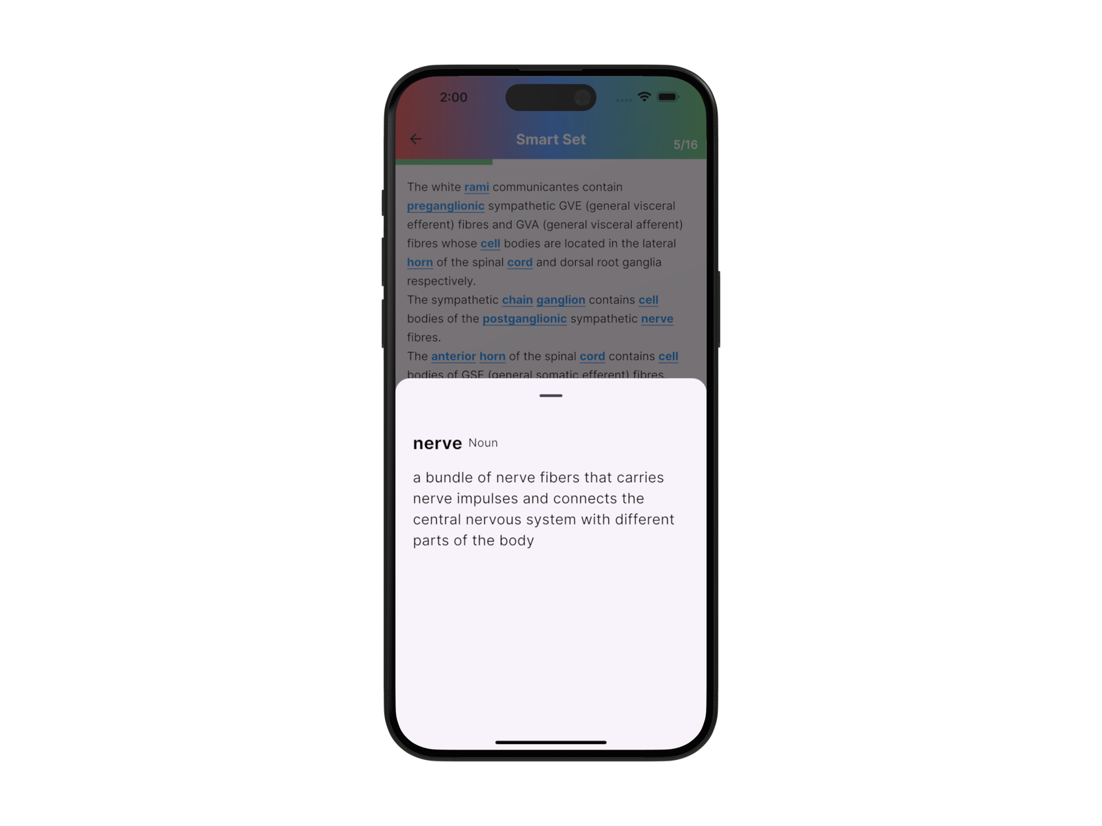 MedAngle Super App showing Learning Lines: blue underlined terms in study text, with a definition card for the word 'nerve'.